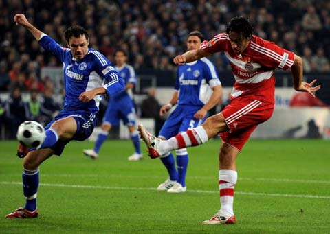 河南嵩山龙 河南嵩山龙